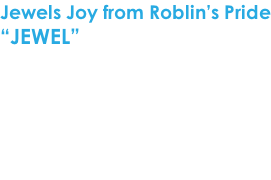 Jewels Joy from Roblin’s Pride “JEWEL”  Geboren op 31 juli 2012 Geslacht: teef  Kleur: blue merle & tan  CEA - TNS - CL Vrij via de ouders