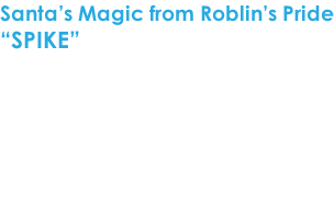 Santa’s Magic from Roblin’s Pride “SPIKE”  Geboren op 25 december 2013 Geslacht: reu Kleur: zwart/wit  CEA - TNS - CL Vrij via de ouders