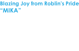 Blazing Joy from Roblin’s Pride “MIKA”  Geboren op 31 juli 2012 Geslacht: teef Kleur: blue merle & tan  CEA - TNS - CL Vrij via de ouders